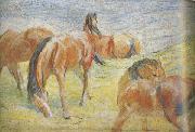 Franz Marc Graing Horses i (mk34) oil painting reproduction